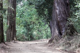 Ethiopia