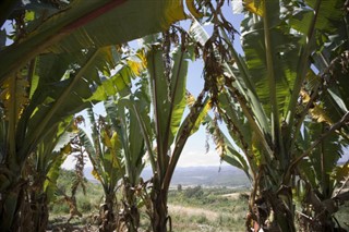 Ethiopia