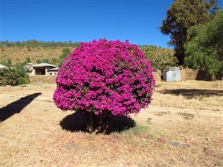 Ethiopia