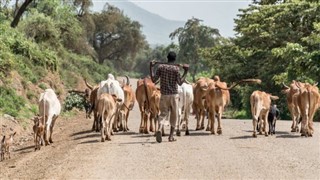 Ethiopia