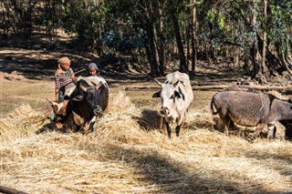 Ethiopia