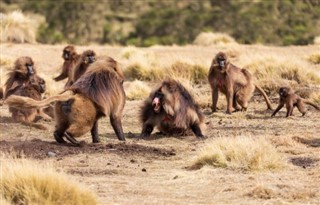 Ethiopia