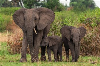 Ethiopia