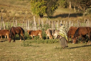 Ethiopia