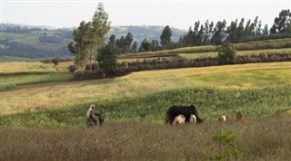 Ethiopia