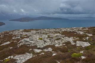 Falkland
