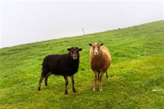 Faroe
