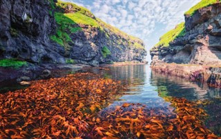 Faroe