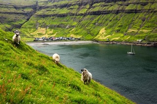 Faroe