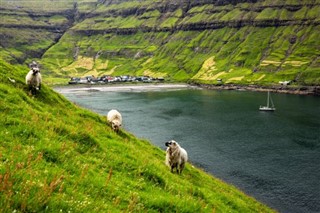 Faroe