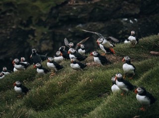 Faroe