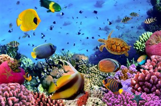 Fiji