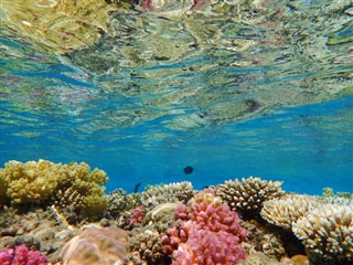 Fiji