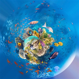 Fiji