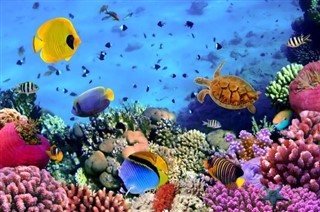 Fiji