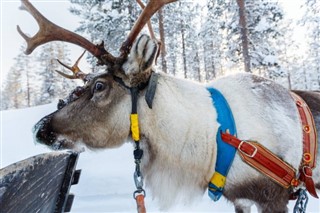 Finland