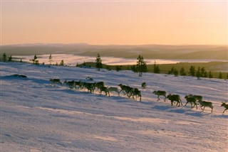 Finland