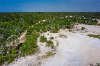 Gambia