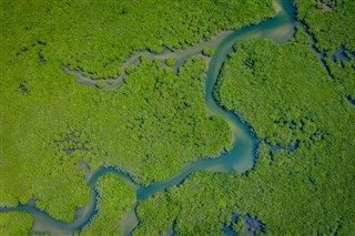 Gambia