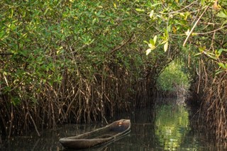 Gambia