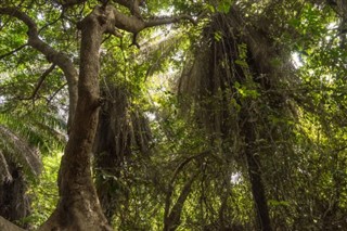 Gambia