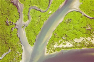 Gambia