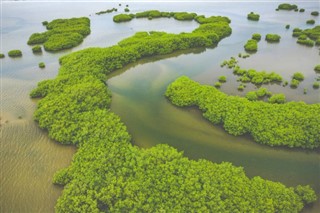 Gambia