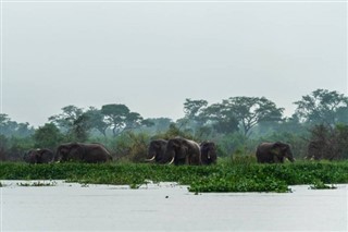 Ghana