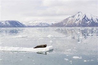Greenland