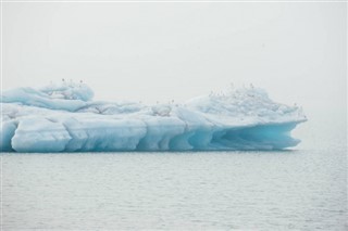 Greenland