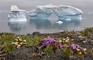 Greenland