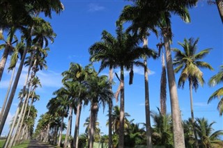 Guadeloupe