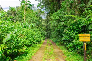 Guadeloupe