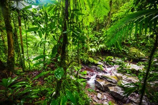 Guadeloupe