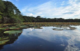 Guyana