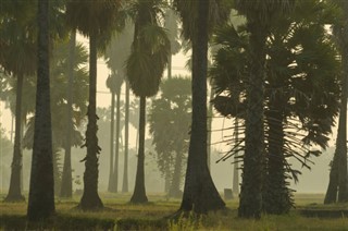 Haiti