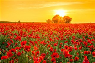 Hungary