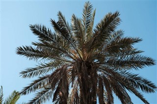 Iraq