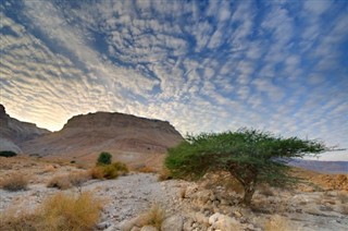Israel