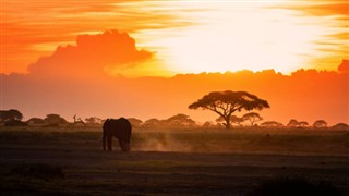 Kenya