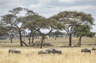 Kenya