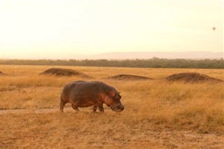 Kenya