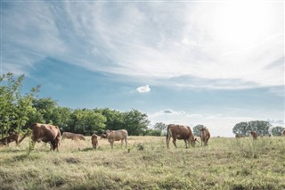 Kenya