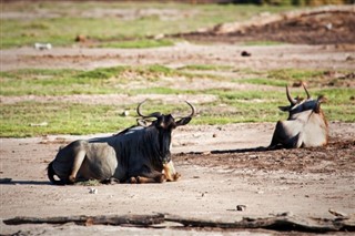 Kenya