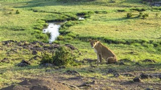 Kenya