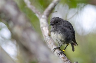 Kiribati