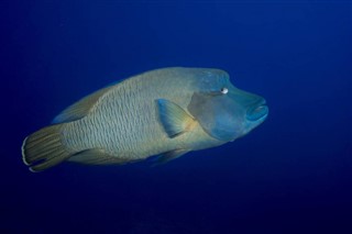 Kiribati