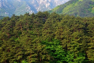 Korea,