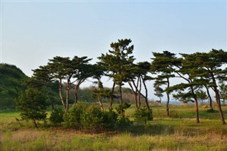 Korea,