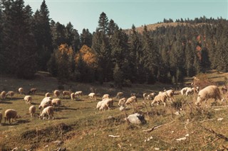 Kosovo